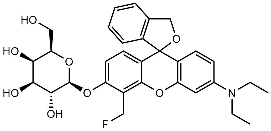 Fluorogenic β-galactosidase substrate suitable for live/fixed cells and tissues imaging.