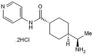 Sterile-filtered 10mM solution of Y-27632 pre-dissolved in water