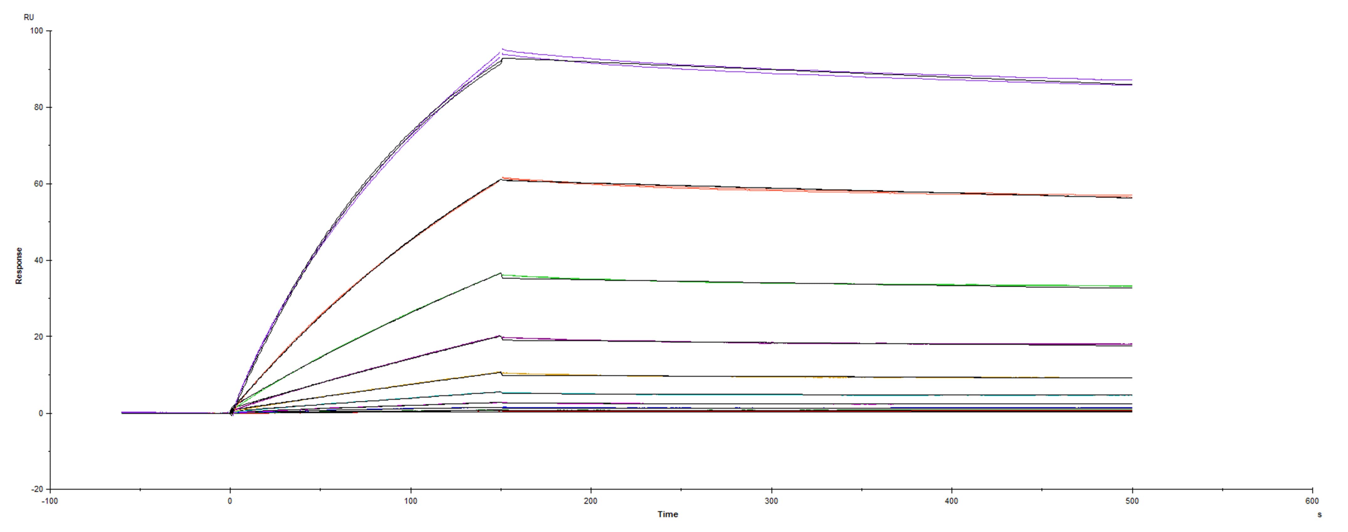 Surface plasmon resonance (SPR) sensorgram of Human ACE-2 binding to SARS-CoV-2 Spike mutant RBD G476S protein