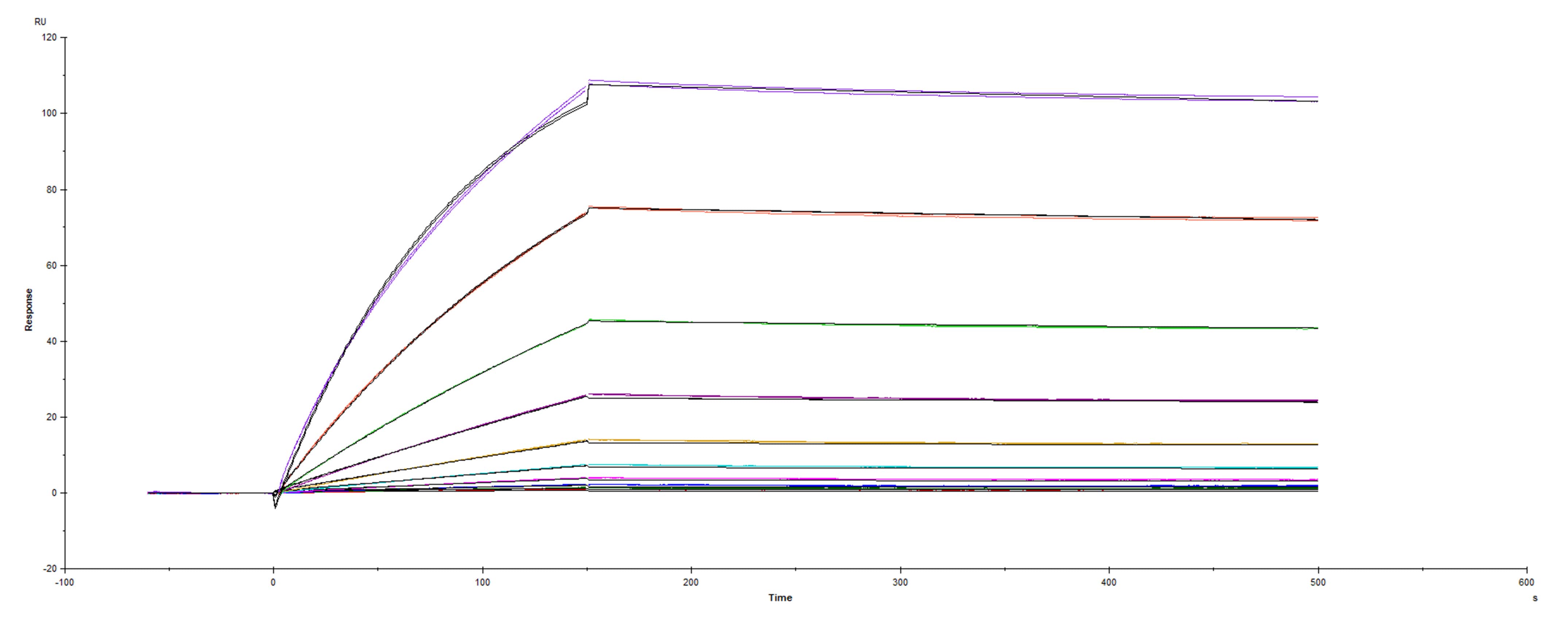 Surface plasmon resonance (SPR) sensorgram of Human ACE-2 binding to SARS-CoV-2 Spike mutant RBD S477N protein