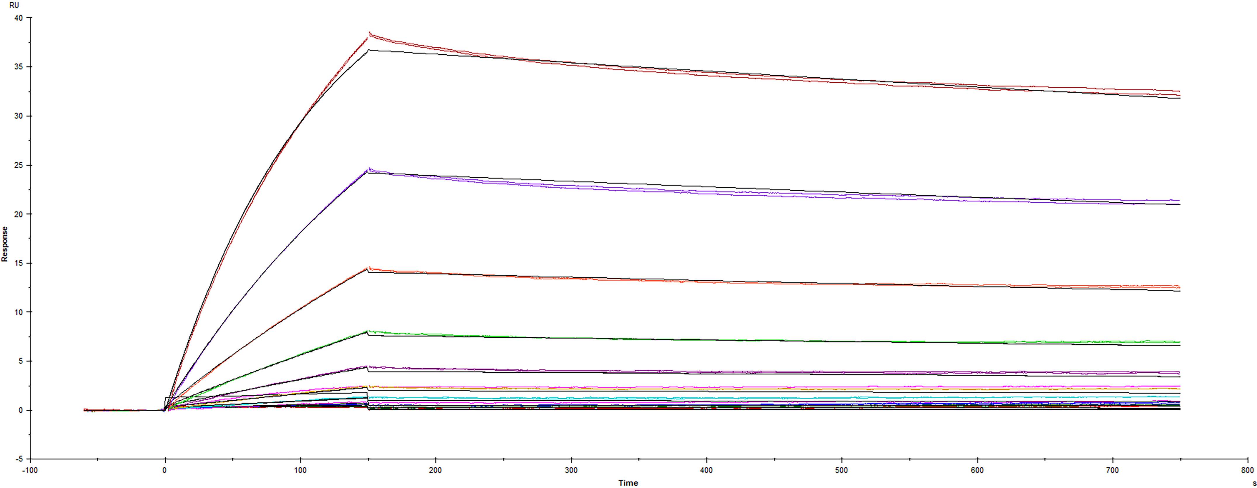 Surface plasmon resonance (SPR) sensorgram of Human ACE-2 binding to SARS-CoV-2 Delta variant Spike protein B.1.617.2