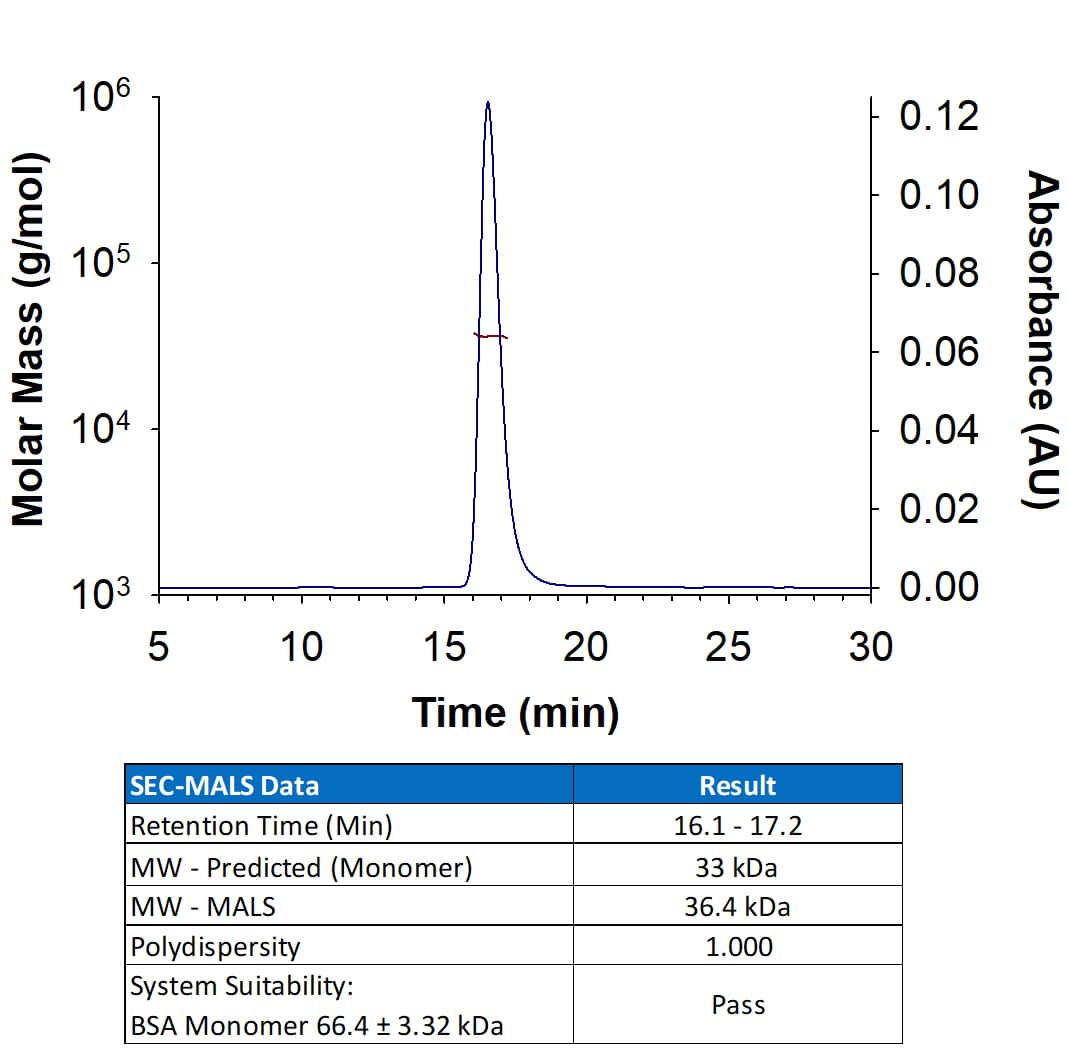 Recombinant Monkeypox Virus Zaire-96-I-16 H3L His-tag Protein SEC-MALS.