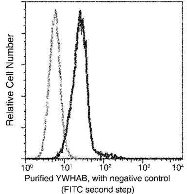 Flow Cytometry: 14-3-3 beta Antibody (03) [NBP3-06516]