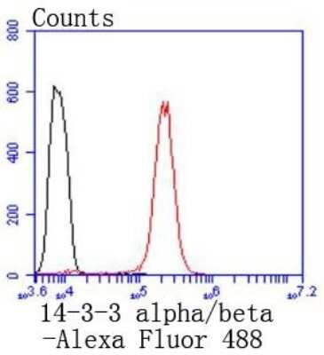Flow Cytometry: 14-3-3 beta/alpha Antibody (SD0837) [NBP2-67833]