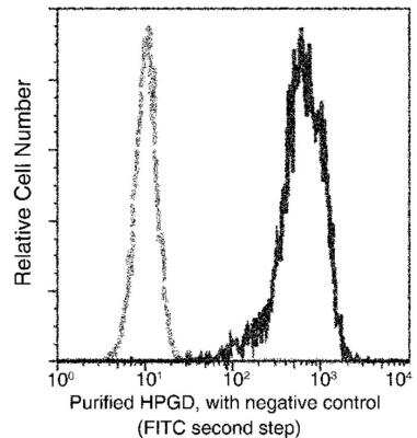 Flow Cytometry: 15-PGDH/HPGD Antibody (016) [NBP2-89839]