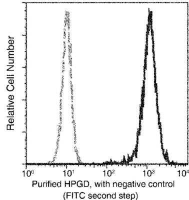 Flow Cytometry: 15-PGDH/HPGD Antibody (027) [NBP2-89841]