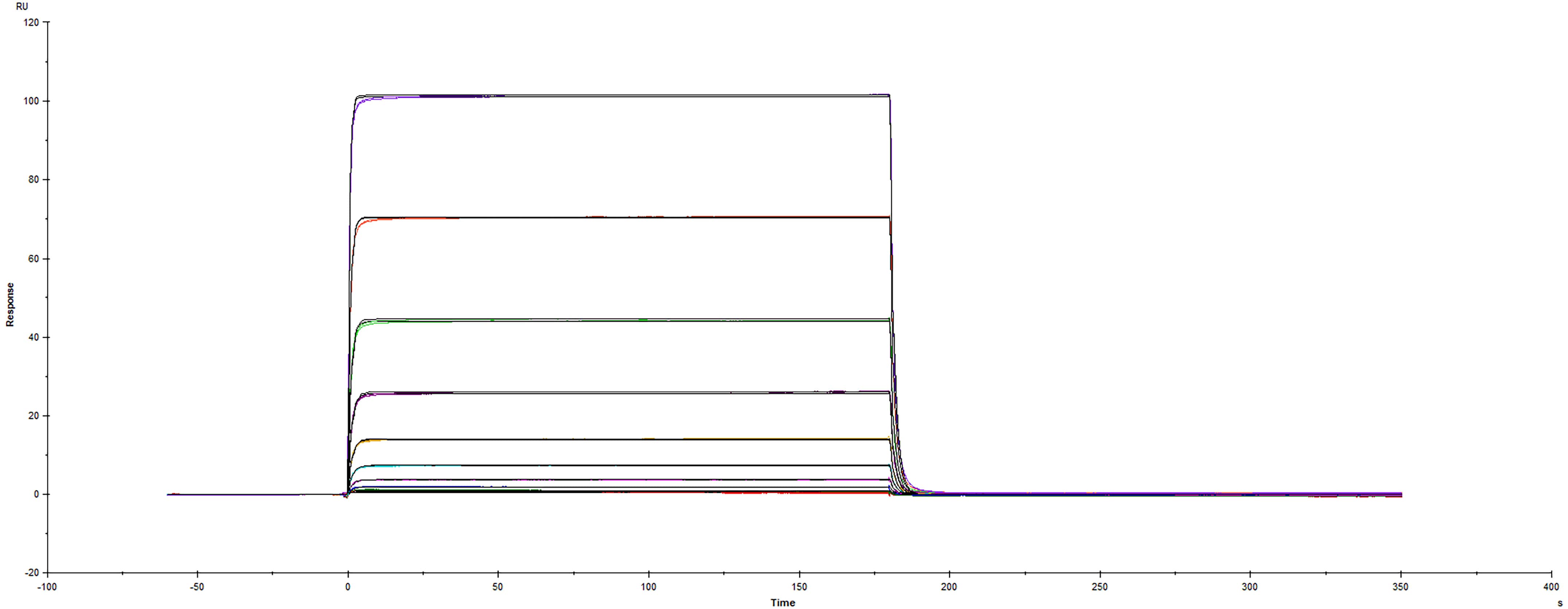 Surface plasmon resonance sensorgram of human PD-L1 protein binding to human PD-1