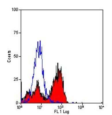Flow Cytometry: 2B4/CD244/SLAMF4 Antibody (2B4.69) - BSA Free [NB100-65889]