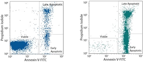 TACS Annexin V-FITC Apoptosis Detection Kit_4830-250-K