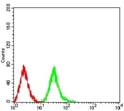 Flow Cytometry: 4EBP1 Antibody (1E2E7) - BSA Free [NBP2-61900]