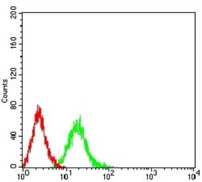 Flow Cytometry: 4EBP1 Antibody (2D1G11) - BSA Free [NBP2-61901]