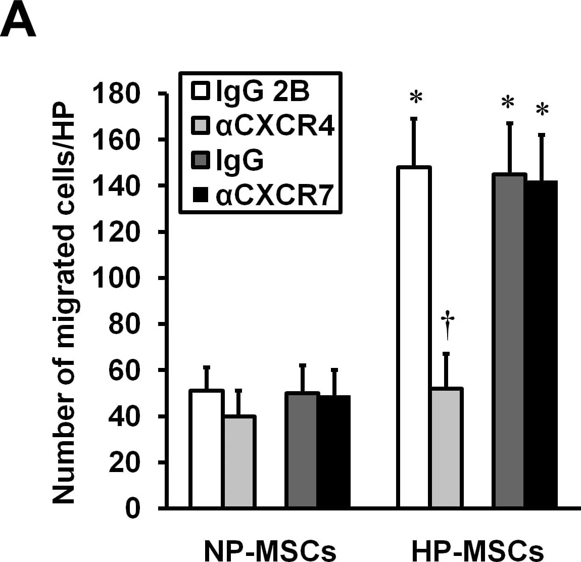 Detection of Normal Sheep IgG Control by Control