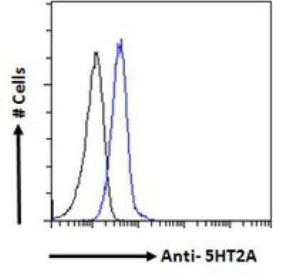 Flow Cytometry: 5-HT2A Antibody [NBP2-26091]