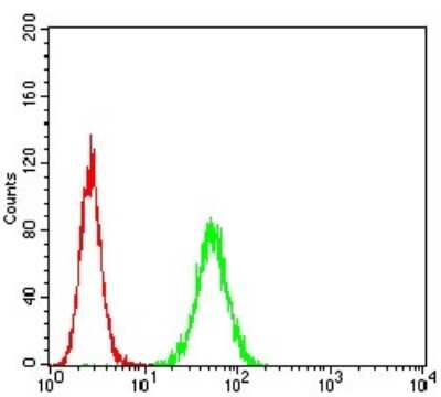 Flow Cytometry: 5-HT3A Antibody (4D5E7) - BSA Free [NBP2-61786]