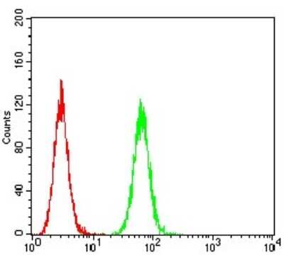 Flow Cytometry: 5-HT3B Antibody (2H9H5) - BSA Free [NBP2-61787]