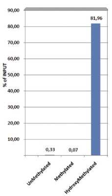 Methylated DNA Immunoprecipitation: 5-hmC Antibody (C.15200200) [NBP2-59177]