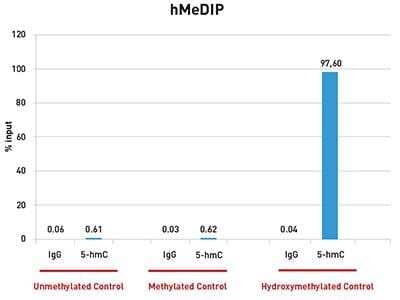 Methylated DNA Immunoprecipitation: 5-hmC Antibody (C.15220001) [NBP2-59178]