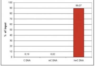 Methylated DNA Immunoprecipitation: 5-hmC Antibody [NBP2-59184]