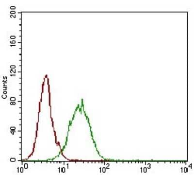 Flow Cytometry: 5'-Nucleotidase/CD73 Antibody (4G6E3) - BSA Free [NBP2-37271]