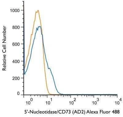 Flow Cytometry: 5'-Nucleotidase/CD73 Antibody (AD2) - BSA Free [NBP2-48480]