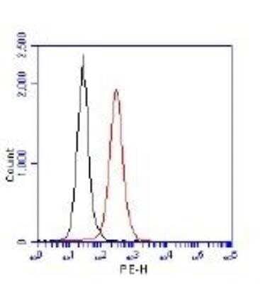 Flow Cytometry of Jurkat Cells Stained with Conjugated 53BP1 Antibody