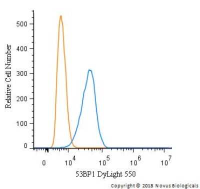 Flow Cytometry: 53BP1 Antibody - BSA Free [NB100-904]
