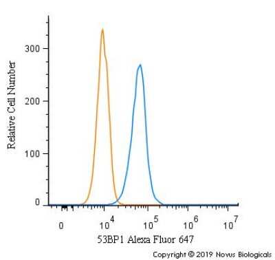 Flow Cytometry: 53BP1 Antibody - BSA Free [NB100-904]