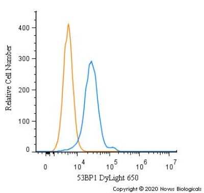 Flow Cytometry: 53BP1 Antibody - BSA Free [NB100-904]