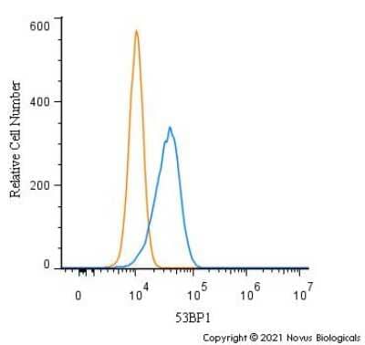 Flow Cytometry: 53BP1 Antibody - BSA Free [NB100-904]