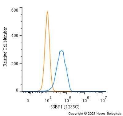 Flow Cytometry: 53BP1 Antibody (1285C) - BSA Free [NBP2-54753]