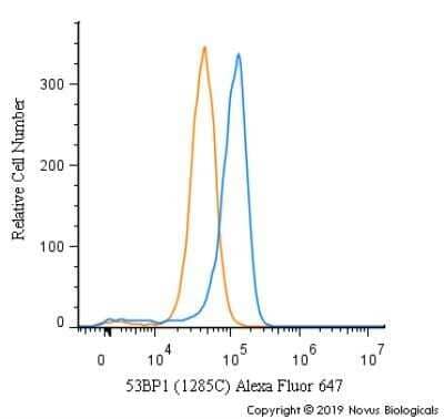 Flow (Intracellular): 53BP1 Antibody (1285C) - BSA Free [NBP2-54753]