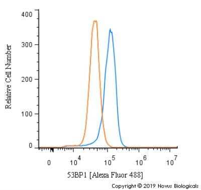 Flow Cytometry of HeLa Cells Stained with Conjugated 53BP1 Antibody