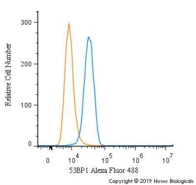 Flow Cytometry of NIH3T3 Cells Stained with Conjugated 53BP1 Antibody