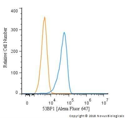 Flow Cytometry of HeLa Cells Stained with Conjugated 53BP1 Antibody