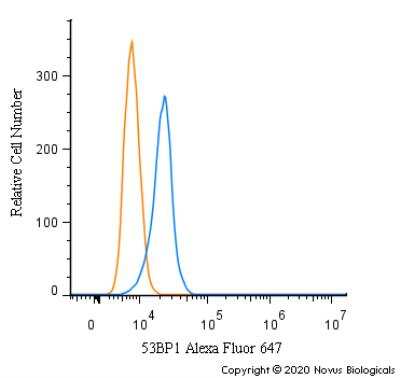 Flow Cytometry of A431 Cells Stained with Conjugated 53BP1 Antibody