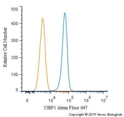 Intracellular Staining of 53BP1 in RH-30 Cells in Flow Cytometry