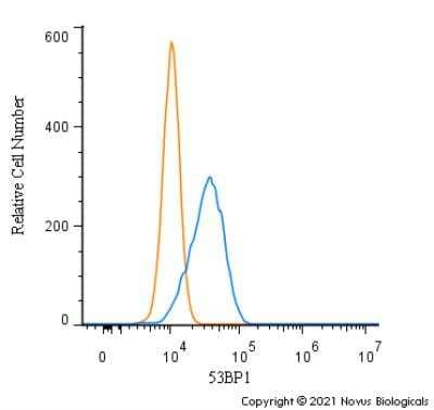 Intracellular Staining of 53BP1 in Ntera2 Cells in Flow Cytometry