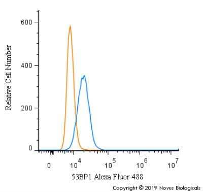 Flow Cytometry: 53BP1 Antibody - BSA Free [NB100-305]