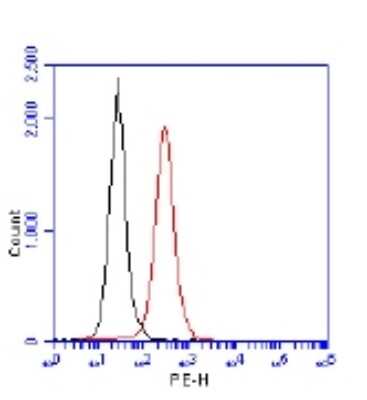 Flow Cytometry: 53BP1 Antibody Pack [NB100-926]