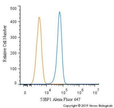 Flow Cytometry: 53BP1 Antibody Pack [NB100-926]
