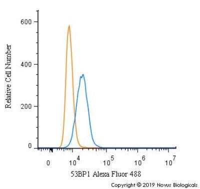 Flow Cytometry: 53BP1 Antibody Pack [NB100-926]