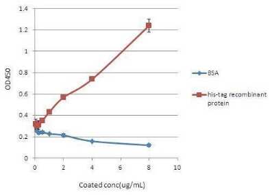 ELISA: His Tag Antibody (359) [NBP2-43536]