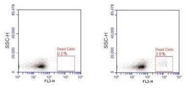 Flow Cytometry: 7-Aminoactinomycin D Solution [NBP2-29446]