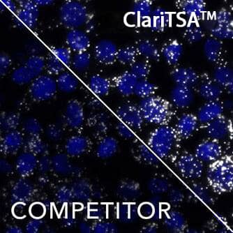 Application of ClariTSA™ Fluorophore Kit 650 in RNAscope Multiplex Fluorescent v2 Assay