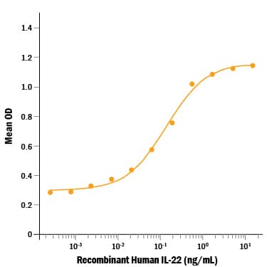 Recombinant Human IL-22 Protein Bioactivity
