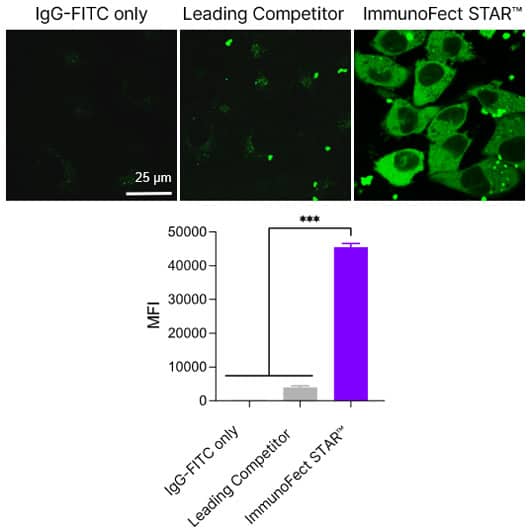 ImmunoFect STAR&#8482; Antibody Transfection Reagent applications
