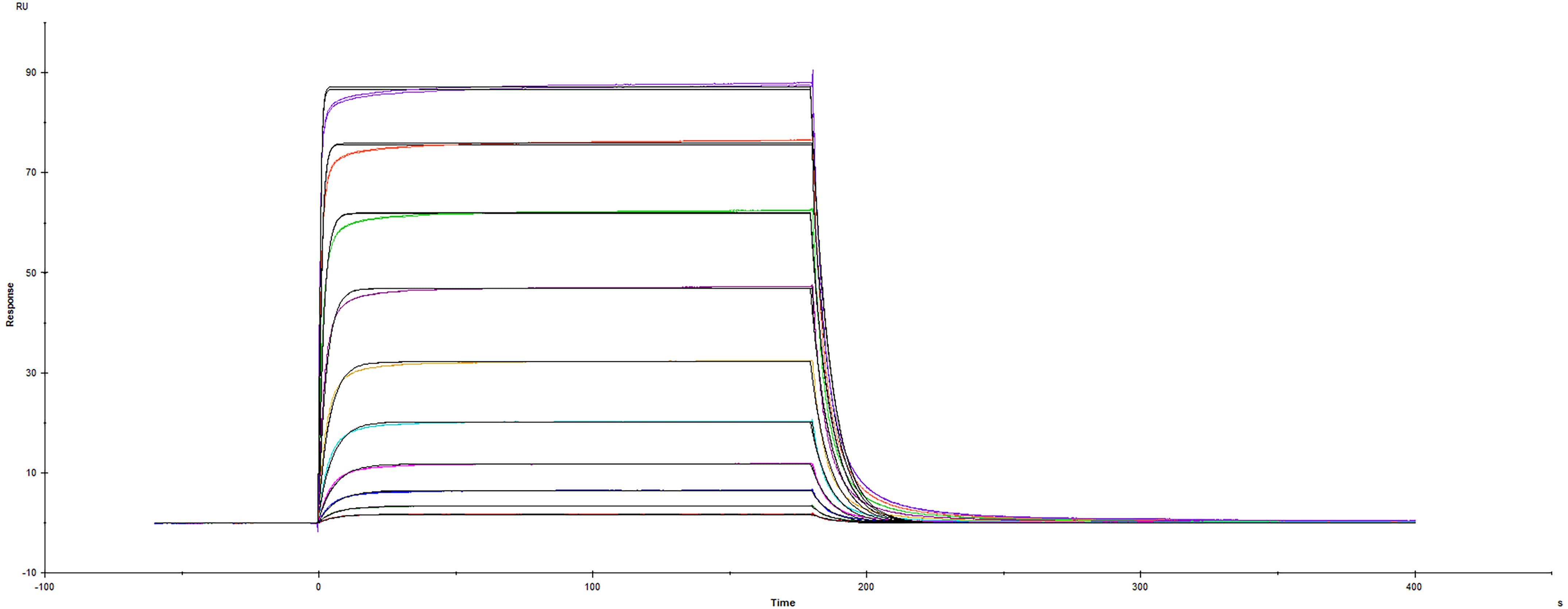 Surface plasmon resonance sensorgram of human PD-L2 protein binding to human PD-1