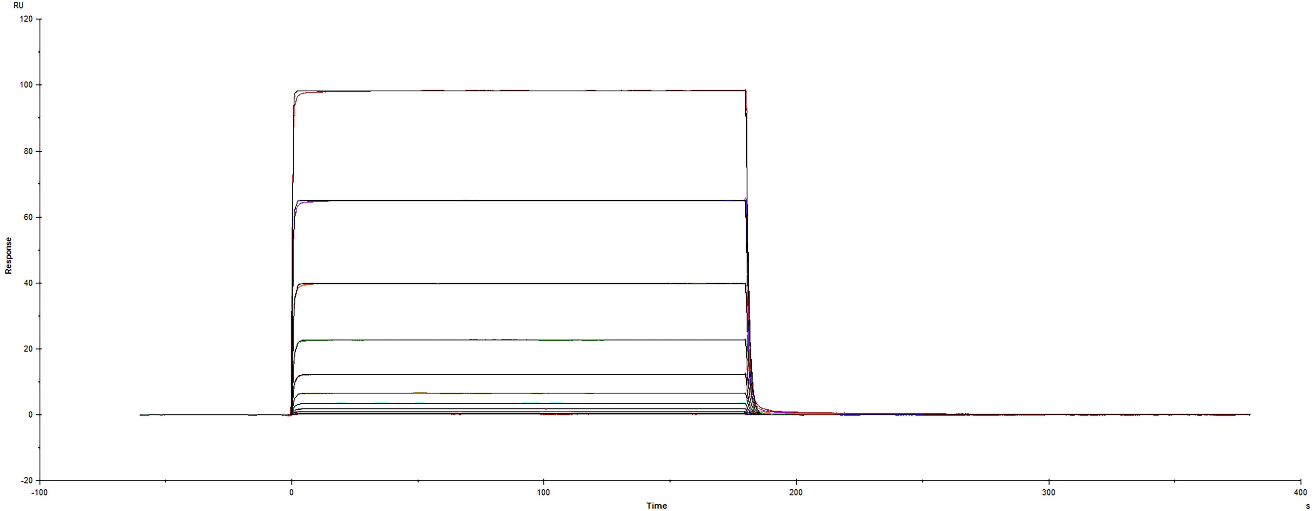 Surface plasmon resonance sensorgram of mouse PD-L1 protein binding to mouse PD-1