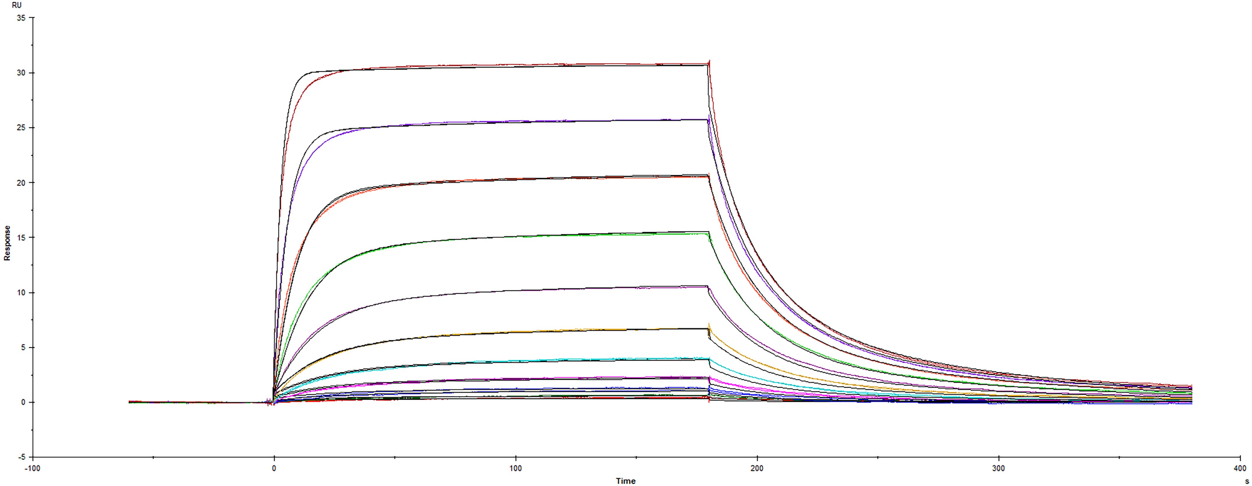 Surface plasmon resonance sensorgram of human CD155/PVR protein binding to human TIGIT