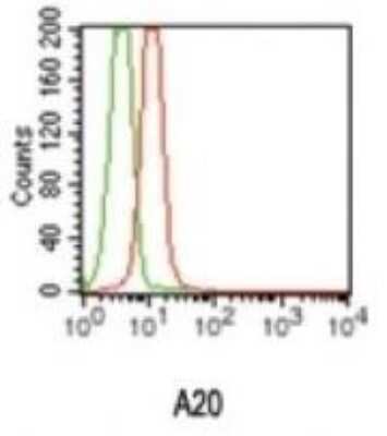 Flow Cytometry: A20/TNFAIP3 Antibody (59A426) - Azide Free [NBP2-33252]
